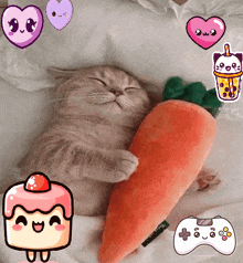 a cat is laying next to a stuffed carrot and a cake