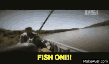 Jeremy Wade Fish On GIF - Jeremy Wade Fish On Fishing GIFs
