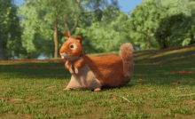 Squirrel Costume Disguise GIF