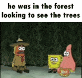 He Was In The Forest Looking To See The Trees Spongebob GIF - He Was In The Forest Looking To See The Trees Spongebob Hawaii Part Ii GIFs