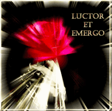 Luctor Et Emergo I Struggle And Emerge GIF - Luctor Et Emergo I Struggle And Emerge Ik Worstel En Kom Boven GIFs