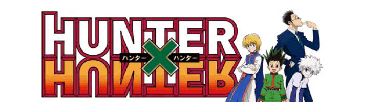 HUNTER X HUNTER in 2024 | Hunter x hunter, Hunter