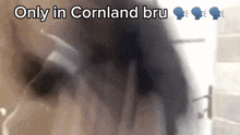 Cornland Bayanda GIF - Cornland Bayanda Slip GIFs