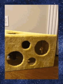 Cheese Kitten GIF - Cheese Kitten Cute GIFs