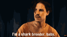 Cap Bailey Asmr GIF - Cap Bailey Asmr Shark Breeder GIFs