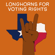 Texas Longhorns Longhorns GIF - Texas Longhorns Longhorns Football GIFs