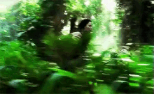 Katniss Katnisseverdeen GIF - Katniss Katnisseverdeen Running GIFs