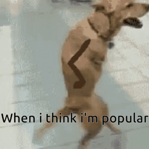 Popularity Funny As Hell GIF - Popularity Funny As Hell Funny Dog -  Discover & Share GIFs