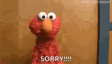 elmo from sesame street is standing in front of a door and saying `` sorry '' .