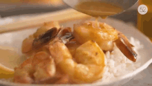 Fried Shrimp Garnish GIF - Fried Shrimp Garnish Gourmet GIFs