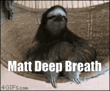 Matt Matt Relax GIF