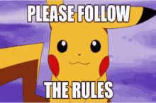 Rules Pikachu GIF - Rules Pikachu GIFs