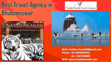 Best Travel Agency In Bhubaneswar Bhubaneswar Travel Agency GIF