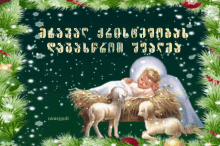Christmas Shoba GIF - Christmas Shoba Gilocav GIFs