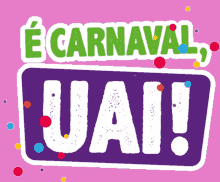 E Carnaval Uai Carnaval GIF - E Carnaval Uai Carnaval Bh GIFs