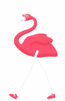 flamingo pink glasses sunglasses walk
