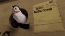 a penguin is standing next to a piece of paper that says `` всем похуй '' .