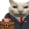 a white cat in a suit and tie is holding a briefcase .