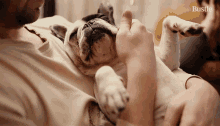 Pet Bustle GIF - Pet Bustle Yawn GIFs