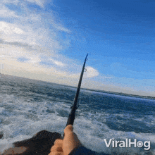 Fishing Viralhog GIF - Fishing Viralhog Pulling Up The Fishing Line GIFs