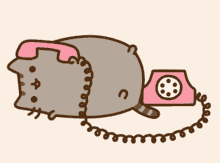 pusheen on the phone talk with you all night cat