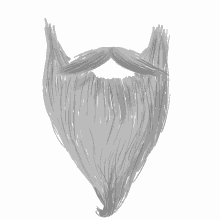 gray beard