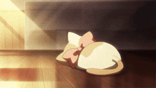 a cat with a pink bow on its head is laying down on the floor