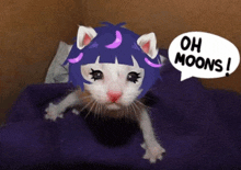 a white cat with purple hair and a speech bubble that says " oh moons "