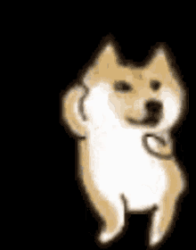 Doge Well Stop GIF - Doge Dog Well Stop GIFs