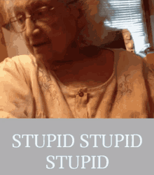 Stupid Granny Stupid GIF - Stupid Granny Stupid Vacate Fear GIFs