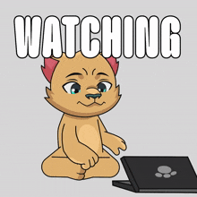 a cartoon cat is sitting in front of a laptop with the word watching above him