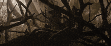 a tree with a lot of branches and leaves on it