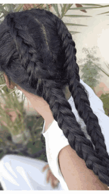Fishtail Braids GIF - Fishtail Braids Hair GIFs