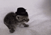 a small kitten wearing a black top hat is walking on a white blanket .