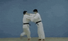 Judo Throw GIF