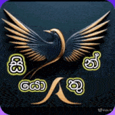 a black bird with gold wings is surrounded by chinese characters
