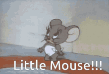 Little Mouse Feed Me GIF - Little Mouse Feed Me Food GIFs
