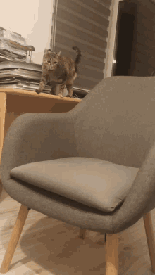a cat sitting on top of a chair with a cushion