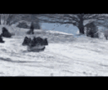 Gthomas Snow GIF - Gthomas Snow Slide GIFs