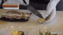 a person is cutting a piece of noodles with a knife and the words made in animatica are visible