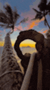 a sunset over the ocean with palm trees in the foreground and a fence in the background .