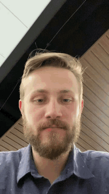 a man with a beard wearing a blue shirt looks at the camera