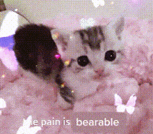 a picture of a kitten and a mouse with the words " he pain is bearable " below it