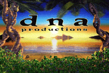 an ad for dna productions shows a sunset on the beach
