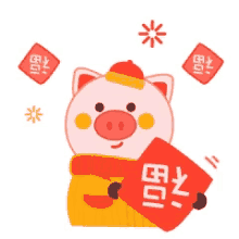 pig year