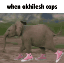 Akhilesh Elephant GIF - Akhilesh Elephant Run GIFs