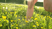 Meadow Running GIF - Meadow Running Barefoot GIFs