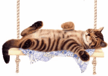 Cat Tired GIF - Cat Tired Lazy GIFs