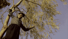 a man in a hat stands in a tree