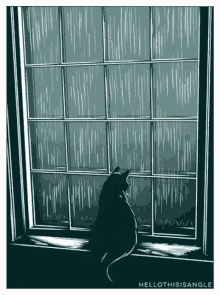 Cat Rain GIF - Cat Rain Raining GIFs